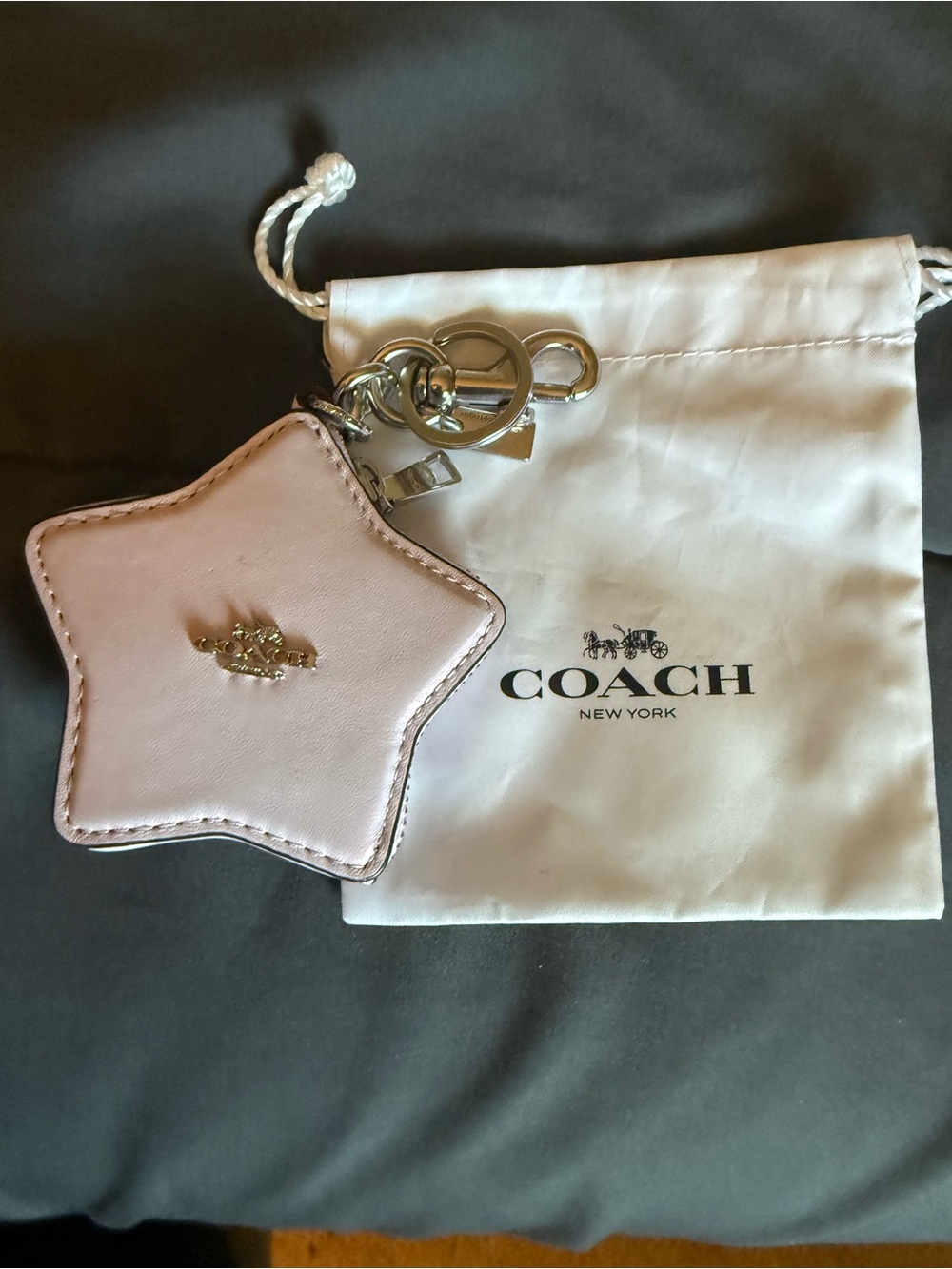 Iridescent Star Coach Bag Charm - Picture 5 of 11